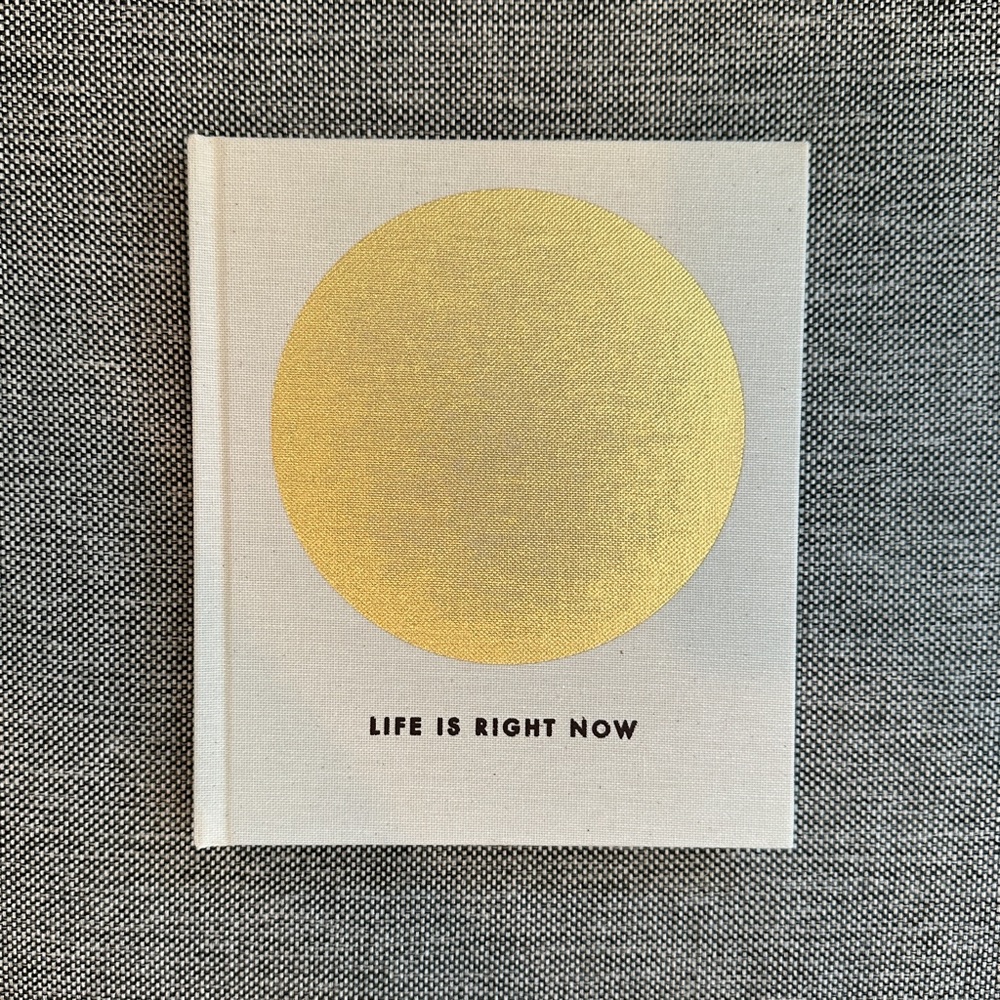 “Life is Right Now” book by Real Fun, Wow!